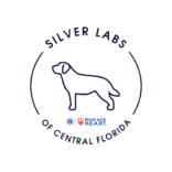 Silver Labs of Central Florida